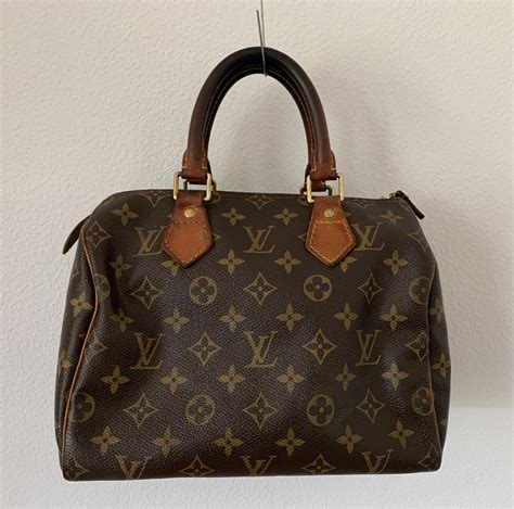 trendy louis vuitton bags